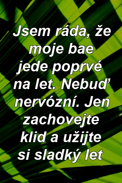 Jsem ráda, že moje bae jede poprvé na let. Nebuď nervózní. Jen zachovejte klid a užijte si sladký let