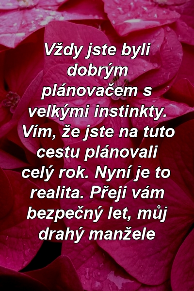 Vždy jste byli dobrým plánovačem s velkými instinkty. Vím, že jste na tuto cestu plánovali celý rok. Nyní je to realita. Přeji vám bezpečný let, můj drahý manžele