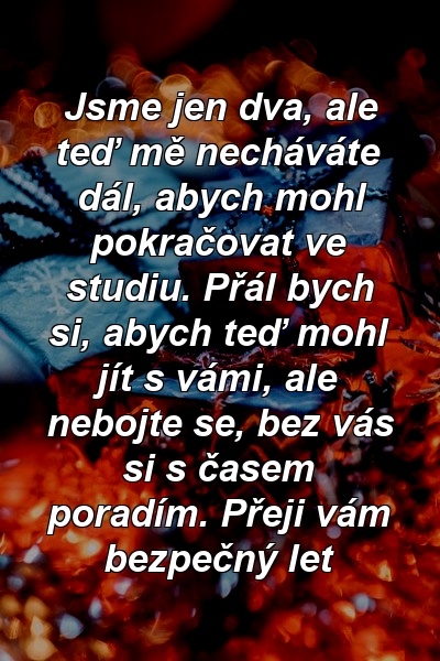 Jsme jen dva, ale teď mě necháváte dál, abych mohl pokračovat ve studiu. Přál bych si, abych teď mohl jít s vámi, ale nebojte se, bez vás si s časem poradím. Přeji vám bezpečný let