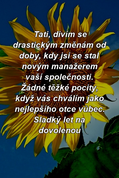 Tati, divím se drastickým změnám od doby, kdy jsi se stal novým manažerem vaší společnosti. Žádné těžké pocity, když vás chválím jako nejlepšího otce vůbec. Sladký let na dovolenou