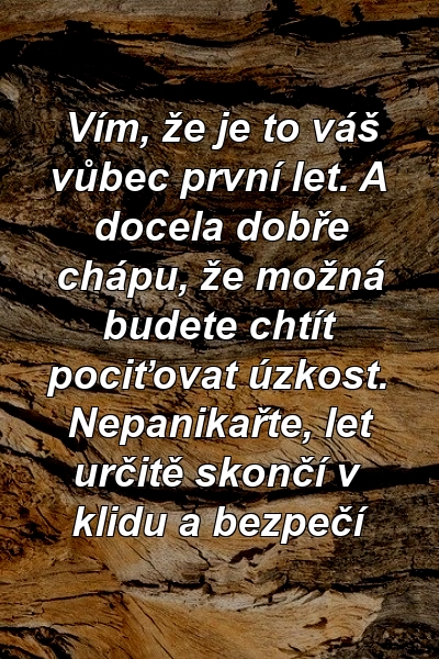 Vím, že je to váš vůbec první let. A docela dobře chápu, že možná budete chtít pociťovat úzkost. Nepanikařte, let určitě skončí v klidu a bezpečí