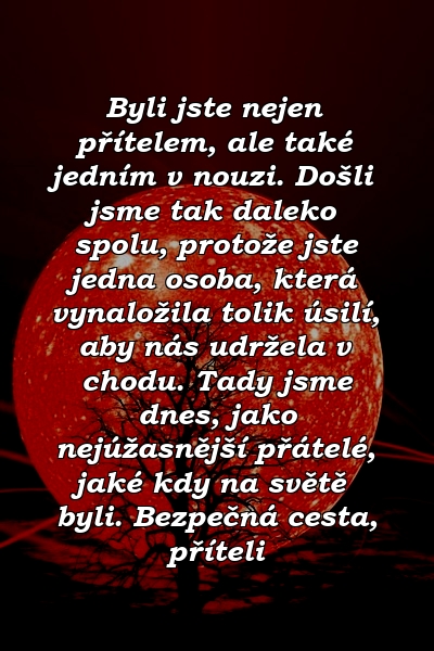 Byli jste nejen přítelem, ale také jedním v nouzi. Došli jsme tak daleko spolu, protože jste jedna osoba, která vynaložila tolik úsilí, aby nás udržela v chodu. Tady jsme dnes, jako nejúžasnější přátelé, jaké kdy na světě byli. Bezpečná cesta, příteli