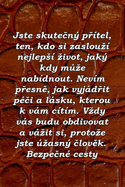 Jste skutečný přítel, ten, kdo si zaslouží nejlepší život, jaký kdy může nabídnout. Nevím přesně, jak vyjádřit péči a lásku, kterou k vám cítím. Vždy vás budu obdivovat a vážit si, protože jste úžasný člověk. Bezpečné cesty