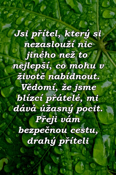 Jsi přítel, který si nezaslouží nic jiného než to nejlepší, co mohu v životě nabídnout. Vědomí, že jsme blízcí přátelé, mi dává úžasný pocit. Přeji vám bezpečnou cestu, drahý příteli