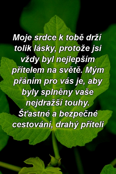 Moje srdce k tobě drží tolik lásky, protože jsi vždy byl nejlepším přítelem na světě. Mým přáním pro vás je, aby byly splněny vaše nejdražší touhy. Šťastné a bezpečné cestování, drahý příteli