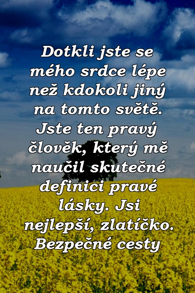 Dotkli jste se mého srdce lépe než kdokoli jiný na tomto světě. Jste ten pravý člověk, který mě naučil skutečné definici pravé lásky. Jsi nejlepší, zlatíčko. Bezpečné cesty