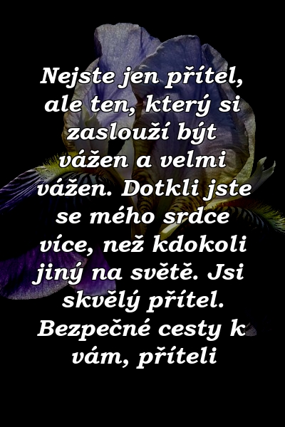 Nejste jen přítel, ale ten, který si zaslouží být vážen a velmi vážen. Dotkli jste se mého srdce více, než kdokoli jiný na světě. Jsi skvělý přítel. Bezpečné cesty k vám, příteli