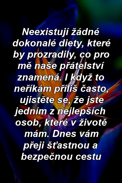 Neexistují žádné dokonalé diety, které by prozradily, co pro mě naše přátelství znamená. I když to neříkám příliš často, ujistěte se, že jste jedním z nejlepších osob, které v životě mám. Dnes vám přeji šťastnou a bezpečnou cestu