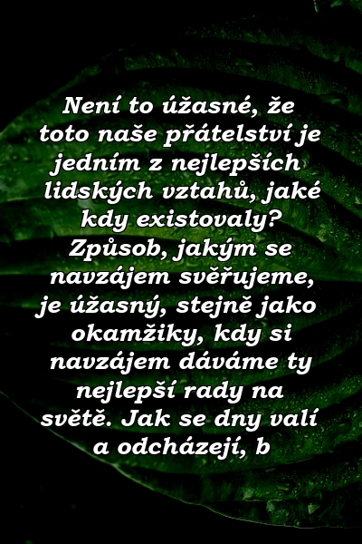 Není to úžasné, že toto naše přátelství je jedním z nejlepších lidských vztahů, jaké kdy existovaly? Způsob, jakým se navzájem svěřujeme, je úžasný, stejně jako okamžiky, kdy si navzájem dáváme ty nejlepší rady na světě. Jak se dny valí a odcházejí, b