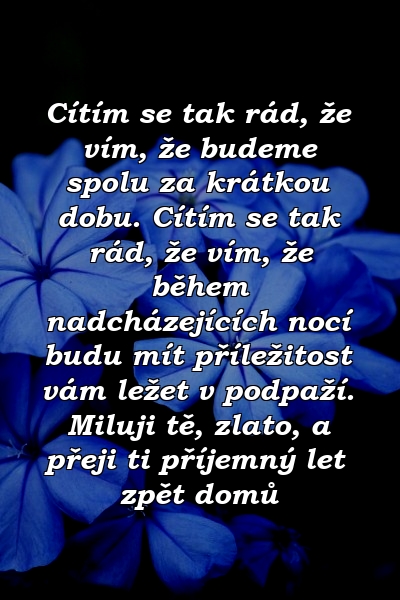 Cítím se tak rád, že vím, že budeme spolu za krátkou dobu. Cítím se tak rád, že vím, že během nadcházejících nocí budu mít příležitost vám ležet v podpaží. Miluji tě, zlato, a přeji ti příjemný let zpět domů