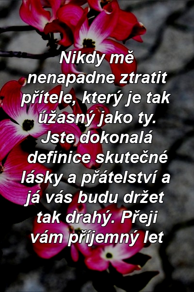 Nikdy mě nenapadne ztratit přítele, který je tak úžasný jako ty. Jste dokonalá definice skutečné lásky a přátelství a já vás budu držet tak drahý. Přeji vám příjemný let