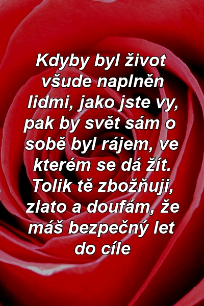 Kdyby byl život všude naplněn lidmi, jako jste vy, pak by svět sám o sobě byl rájem, ve kterém se dá žít. Tolik tě zbožňuji, zlato a doufám, že máš bezpečný let do cíle