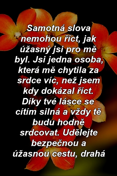 Samotná slova nemohou říct, jak úžasný jsi pro mě byl. Jsi jedna osoba, která mě chytila ​​za srdce víc, než jsem kdy dokázal říct. Díky tvé lásce se cítím silná a vždy tě budu hodně srdcovat. Udělejte bezpečnou a úžasnou cestu, drahá