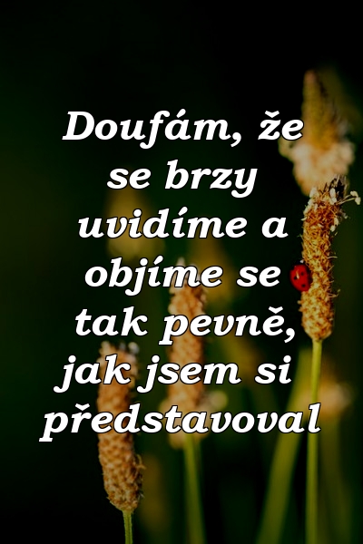 Doufám, že se brzy uvidíme a objíme se tak pevně, jak jsem si představoval