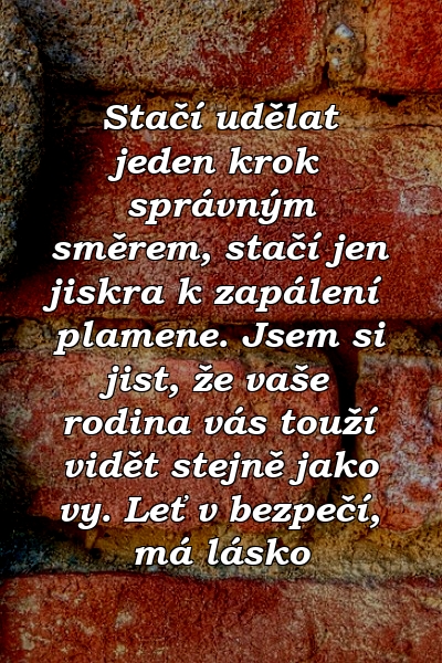 Stačí udělat jeden krok správným směrem, stačí jen jiskra k zapálení plamene. Jsem si jist, že vaše rodina vás touží vidět stejně jako vy. Leť v bezpečí, má lásko