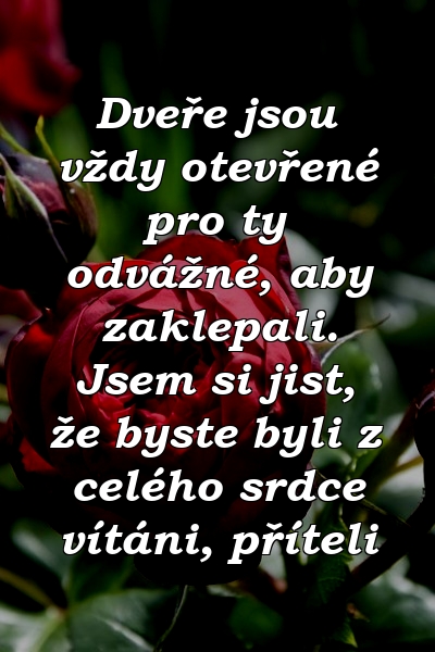 Dveře jsou vždy otevřené pro ty odvážné, aby zaklepali. Jsem si jist, že byste byli z celého srdce vítáni, příteli