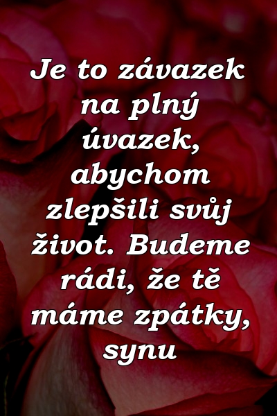 Je to závazek na plný úvazek, abychom zlepšili svůj život. Budeme rádi, že tě máme zpátky, synu