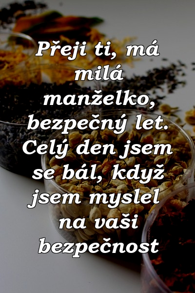 Přeji ti, má milá manželko, bezpečný let. Celý den jsem se bál, když jsem myslel na vaši bezpečnost