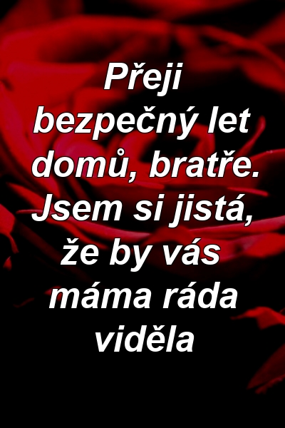 Přeji bezpečný let domů, bratře. Jsem si jistá, že by vás máma ráda viděla