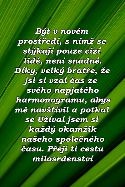 Být v novém prostředí, s nímž se stýkají pouze cizí lidé, není snadné. Díky, velký bratře, že jsi si vzal čas ze svého napjatého harmonogramu, abys mě navštívil a potkal se Užíval jsem si každý okamžik našeho společného času. Přeji ti cestu milosrdenství