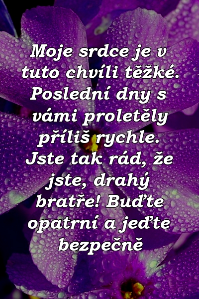 Moje srdce je v tuto chvíli těžké. Poslední dny s vámi proletěly příliš rychle. Jste tak rád, že jste, drahý bratře! Buďte opatrní a jeďte bezpečně