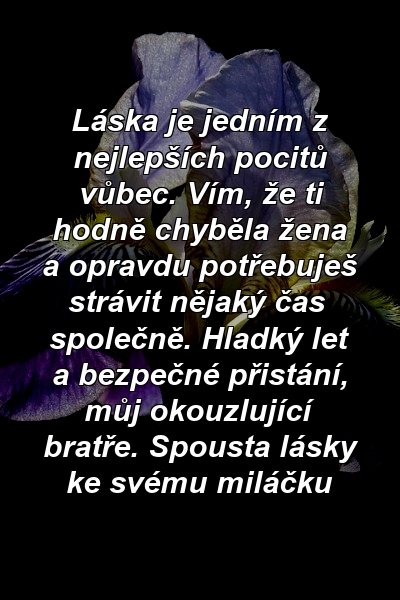 Láska je jedním z nejlepších pocitů vůbec. Vím, že ti hodně chyběla žena a opravdu potřebuješ strávit nějaký čas společně. Hladký let a bezpečné přistání, můj okouzlující bratře. Spousta lásky ke svému miláčku