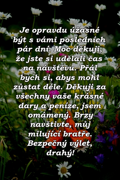 Je opravdu úžasné být s vámi posledních pár dní. Moc děkuji, že jste si udělali čas na návštěvu. Přál bych si, abys mohl zůstat déle. Děkuji za všechny vaše krásné dary a peníze, jsem omámený. Brzy navštivte, můj milující bratře. Bezpečný výlet, drahý!