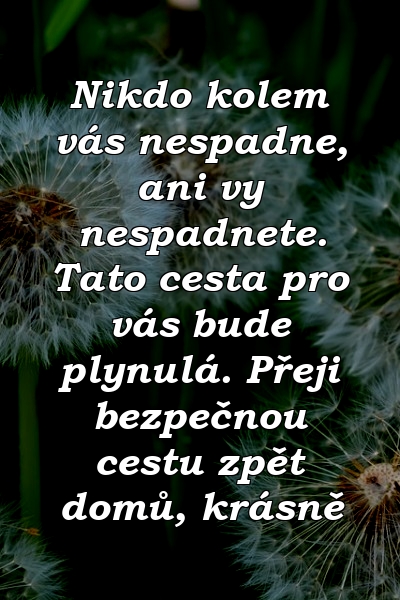 Nikdo kolem vás nespadne, ani vy nespadnete. Tato cesta pro vás bude plynulá. Přeji bezpečnou cestu zpět domů, krásně