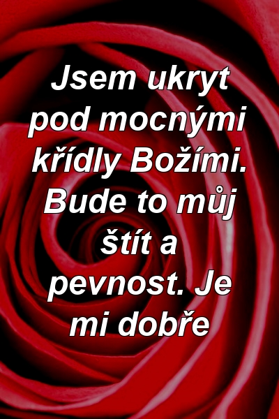 Jsem ukryt pod mocnými křídly Božími. Bude to můj štít a pevnost. Je mi dobře