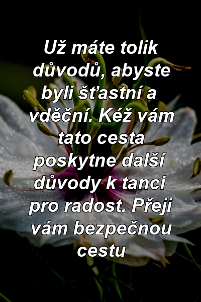 Už máte tolik důvodů, abyste byli šťastní a vděční. Kéž vám tato cesta poskytne další důvody k tanci pro radost. Přeji vám bezpečnou cestu