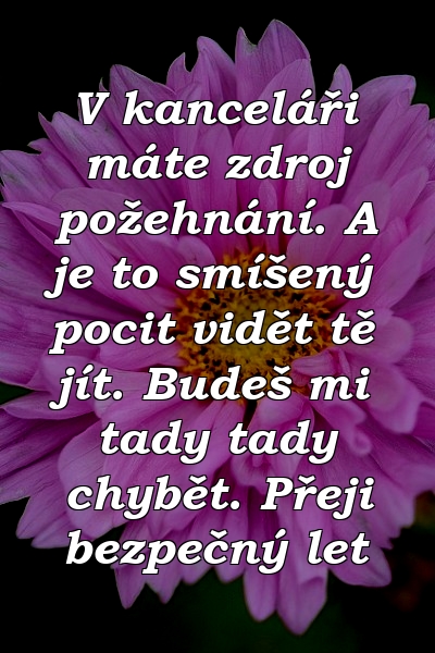 V kanceláři máte zdroj požehnání. A je to smíšený pocit vidět tě jít. Budeš mi tady tady chybět. Přeji bezpečný let