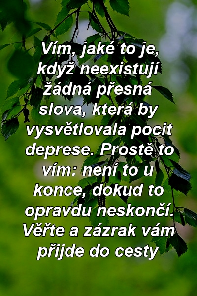 Vím, jaké to je, když neexistují žádná přesná slova, která by vysvětlovala pocit deprese. Prostě to vím: není to u konce, dokud to opravdu neskončí. Věřte a zázrak vám přijde do cesty