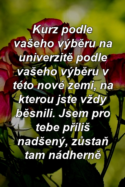 Kurz podle vašeho výběru na univerzitě podle vašeho výběru v této nové zemi, na kterou jste vždy běsnili. Jsem pro tebe příliš nadšený, zůstaň tam nádherně