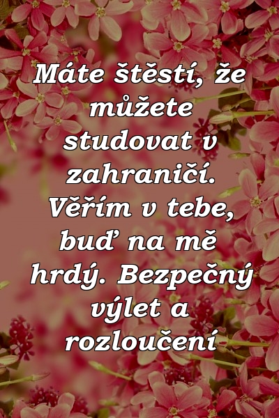 Máte štěstí, že můžete studovat v zahraničí. Věřím v tebe, buď na mě hrdý. Bezpečný výlet a rozloučení