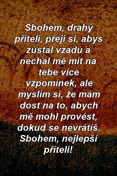 Sbohem, drahý příteli, přeji si, abys zůstal vzadu a nechal mě mít na tebe více vzpomínek, ale myslím si, že mám dost na to, abych mě mohl provést, dokud se nevrátíš. Sbohem, nejlepší příteli!