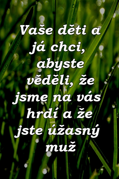 Vaše děti a já chci, abyste věděli, že jsme na vás hrdí a že jste úžasný muž