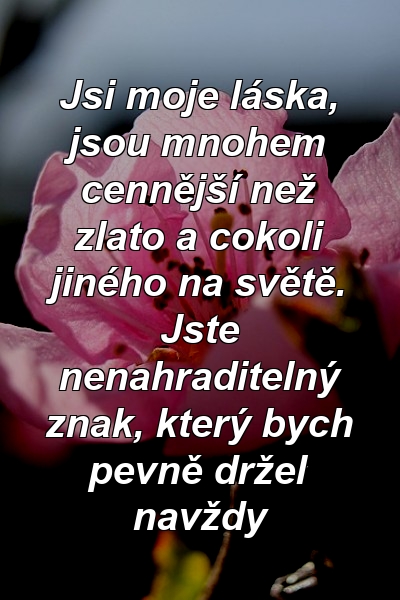 Jsi moje láska, jsou mnohem cennější než zlato a cokoli jiného na světě. Jste nenahraditelný znak, který bych pevně držel navždy