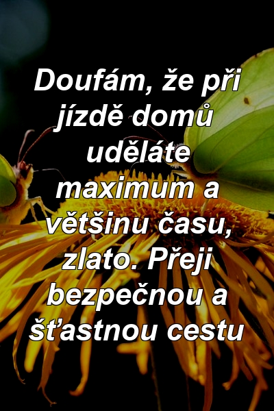 Doufám, že při jízdě domů uděláte maximum a většinu času, zlato. Přeji bezpečnou a šťastnou cestu