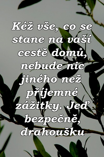 Kéž vše, co se stane na vaší cestě domů, nebude nic jiného než příjemné zážitky. Jeď bezpečně, drahoušku