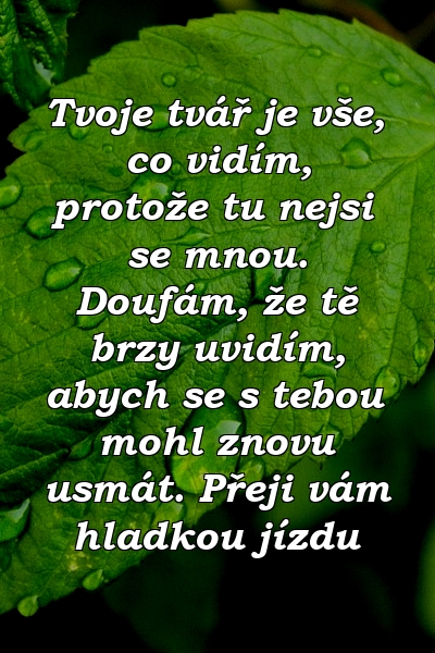 Tvoje tvář je vše, co vidím, protože tu nejsi se mnou. Doufám, že tě brzy uvidím, abych se s tebou mohl znovu usmát. Přeji vám hladkou jízdu