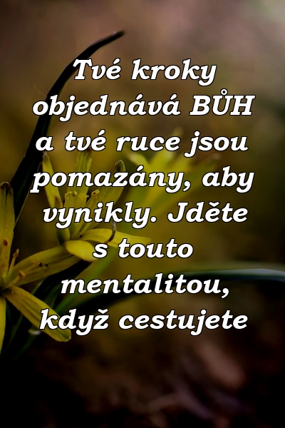 Tvé kroky objednává BŮH a tvé ruce jsou pomazány, aby vynikly. Jděte s touto mentalitou, když cestujete