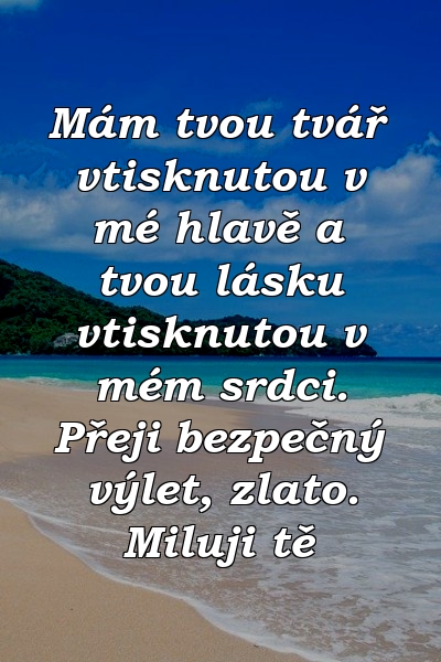 Mám tvou tvář vtisknutou v mé hlavě a tvou lásku vtisknutou v mém srdci. Přeji bezpečný výlet, zlato. Miluji tě