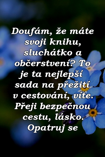 Doufám, že máte svoji knihu, sluchátko a občerstvení? To je ta nejlepší sada na přežití v cestování, víte. Přeji bezpečnou cestu, lásko. Opatruj se