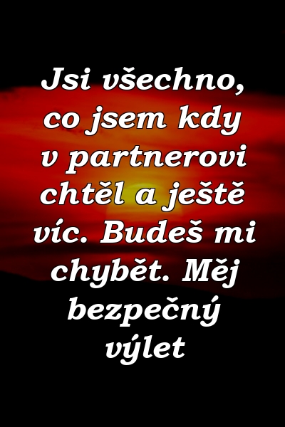 Jsi všechno, co jsem kdy v partnerovi chtěl a ještě víc. Budeš mi chybět. Měj bezpečný výlet