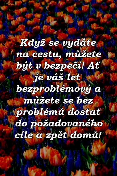 Když se vydáte na cestu, můžete být v bezpečí! Ať je váš let bezproblémový a můžete se bez problémů dostat do požadovaného cíle a zpět domů!