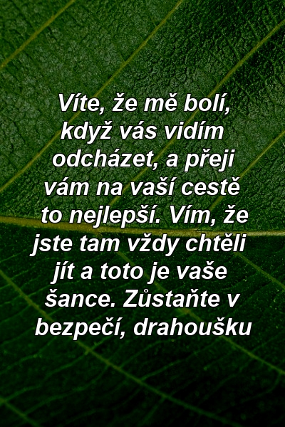 Víte, že mě bolí, když vás vidím odcházet, a přeji vám na vaší cestě to nejlepší. Vím, že jste tam vždy chtěli jít a toto je vaše šance. Zůstaňte v bezpečí, drahoušku