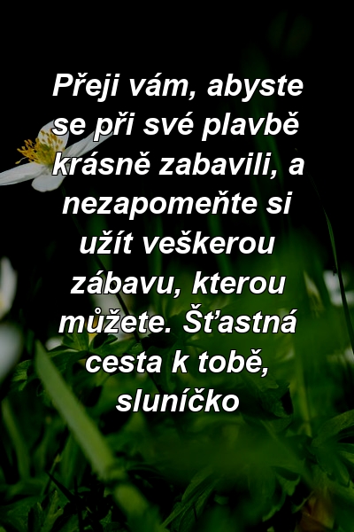 Přeji vám, abyste se při své plavbě krásně zabavili, a nezapomeňte si užít veškerou zábavu, kterou můžete. Šťastná cesta k tobě, sluníčko