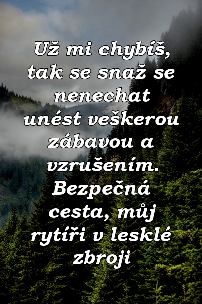 Už mi chybíš, tak se snaž se nenechat unést veškerou zábavou a vzrušením. Bezpečná cesta, můj rytíři v lesklé zbroji