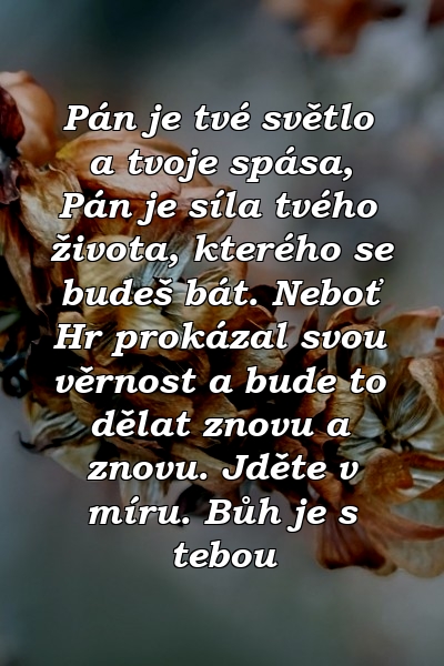 Pán je tvé světlo a tvoje spása, Pán je síla tvého života, kterého se budeš bát. Neboť Hr prokázal svou věrnost a bude to dělat znovu a znovu. Jděte v míru. Bůh je s tebou