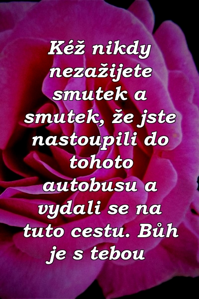 Kéž nikdy nezažijete smutek a smutek, že jste nastoupili do tohoto autobusu a vydali se na tuto cestu. Bůh je s tebou